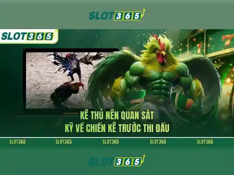 Slot365: Khám phá nền tảng đánh bạc trực tuyến an toàn và tiện lợi