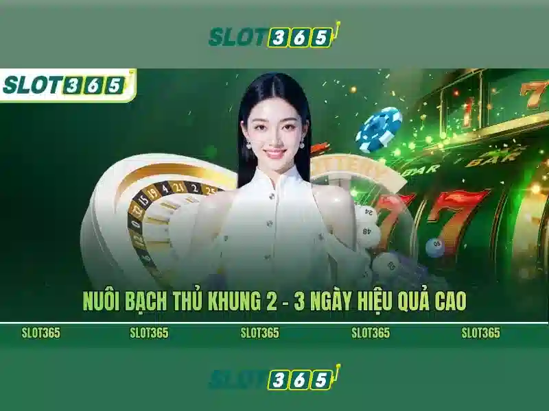 slot365-cashback### H3 Khuyến mãi dành cho người chơi mới và vòng đua tích lũy