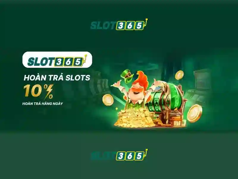 Nền tảng và vận hành Slot365