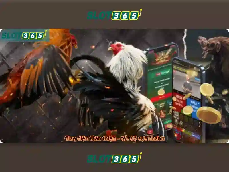 Trải nghiệm người dùng và phản hồi cộng đồng