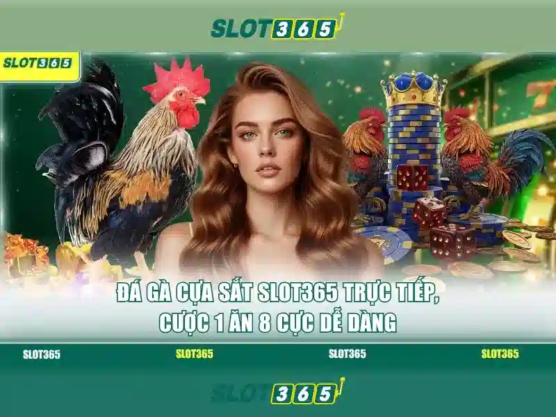 Slot365: Tổng quan về sòng bạc trực tuyến