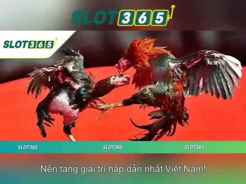 Slot365 – Nền tảng máy xèng trực tuyến hàng đầu