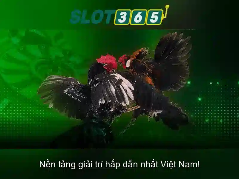 Slot365 – Trải nghiệm slot đỉnh cao trên nền tảng trực tuyến