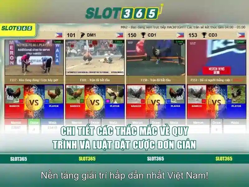 Nguồn gốc và sứ mệnh