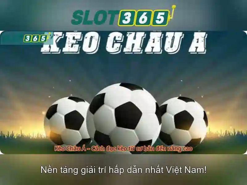 Slot365: Nền tảng chơi slot trực tuyến uy tín Slot365: Nền tảng chơi slot trực tuyến uy tín
