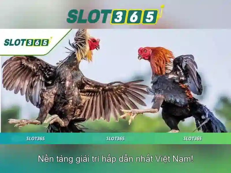 Khuyến mãi và chương trình thưởng Khuyến mãi và chương trình thưởng