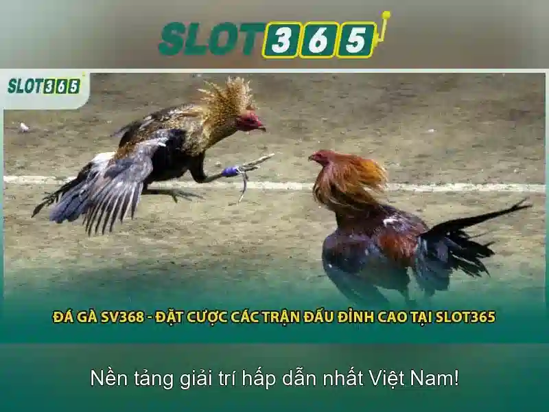 Slot365: Tổng quan và đánh giá