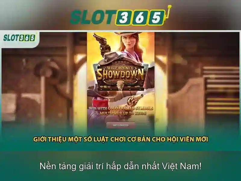 slot365_author_intro