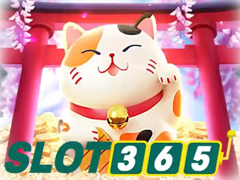 Slot365 la gi Slot365 la gi