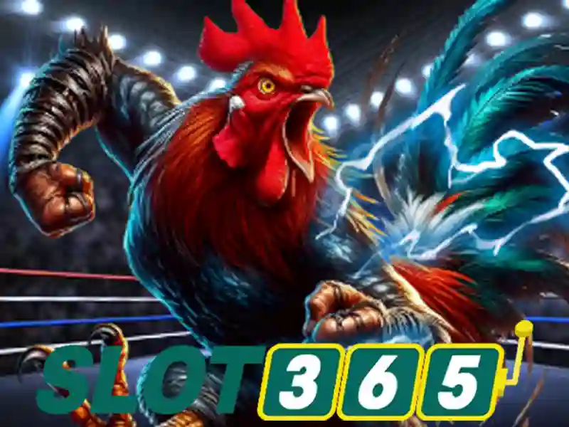 Slot365: Trải nghiệm slot trực tuyến tối ưu